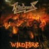 AFTERDREAMS - WILDFIRE